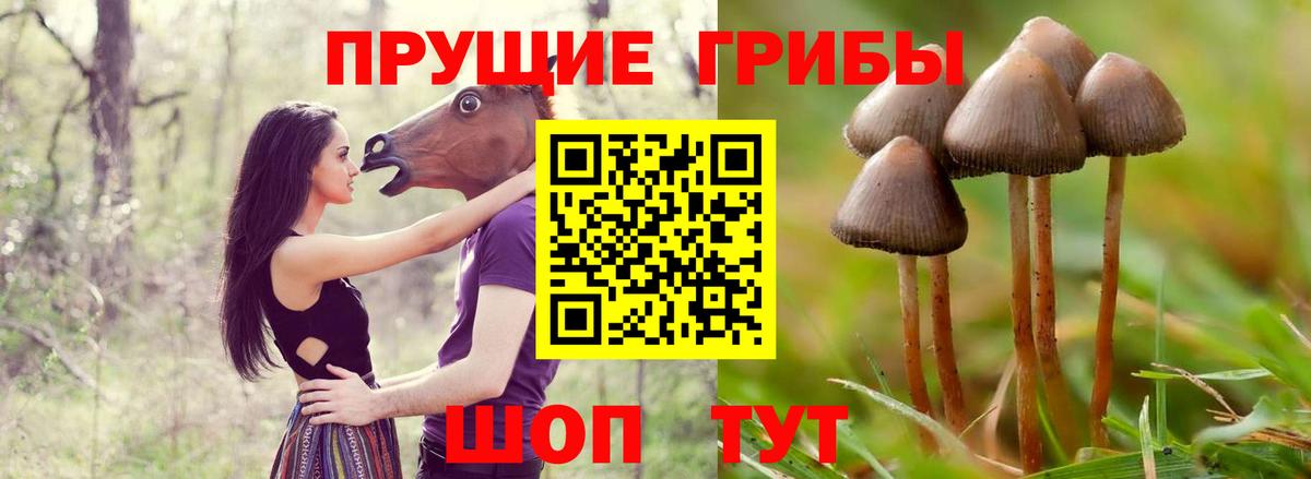 Псилоцибиновые грибы мицелий  цена наркотик  Воскресенск  Вход с VPN  Псилоцибиновые грибы ЛСД 